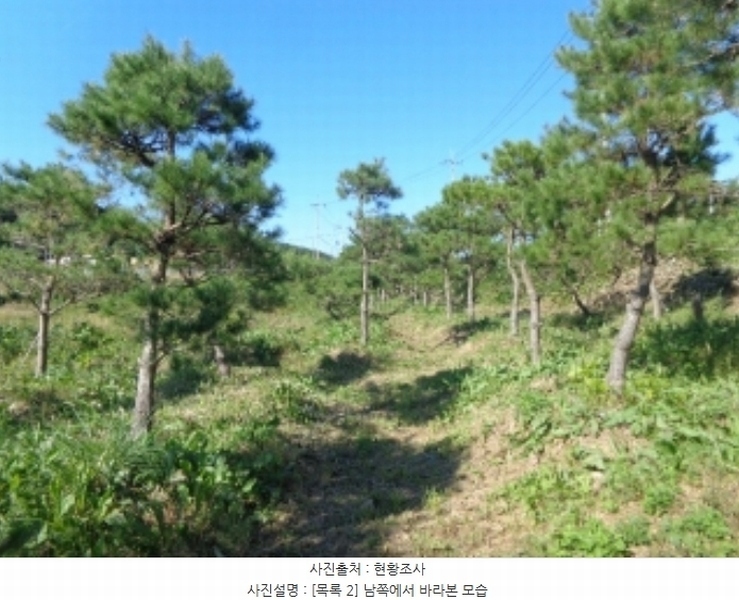 2024타경58324 충청남도 서산시 부석면 봉락리 115-5 농지 경매 이미지