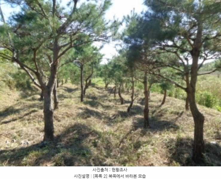 2024타경58324 충청남도 서산시 부석면 봉락리 115-5 농지 경매 이미지