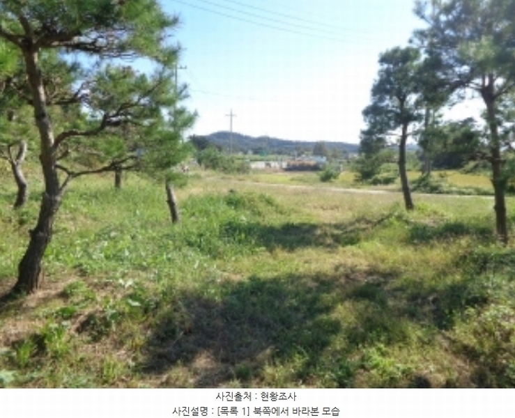2024타경58324 충청남도 서산시 부석면 봉락리 115-5 농지 경매 이미지