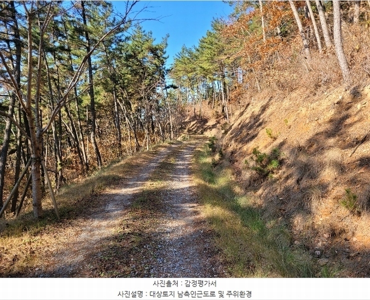 2024타경58393 충청남도 태안군 이원면 포지리 5-1 임야 경매 이미지