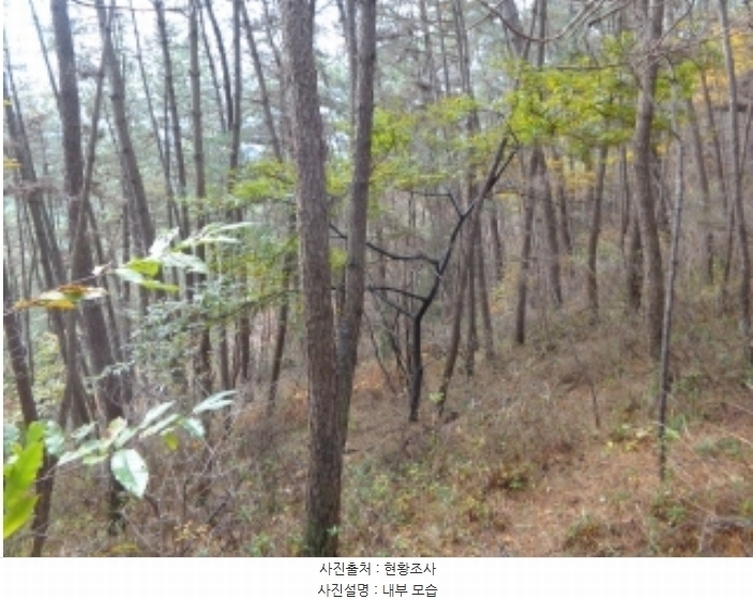 2024타경58393 충청남도 태안군 이원면 포지리 5-1 임야 경매 이미지