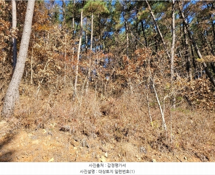 2024타경58393 충청남도 태안군 이원면 포지리 5-1 임야 경매 이미지