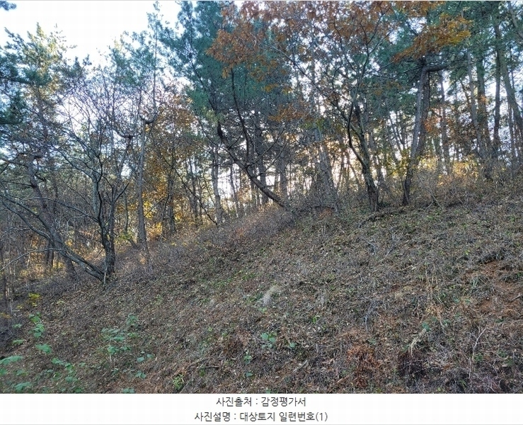 2024타경58393 충청남도 태안군 이원면 포지리 5-1 임야 경매 이미지