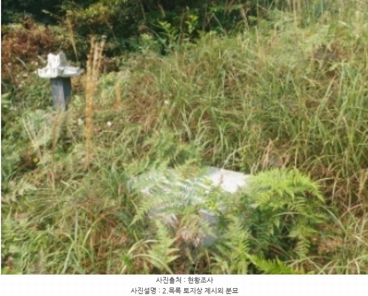 2024타경58546 충청남도 당진시 순성면 본리 557 임야 경매 이미지