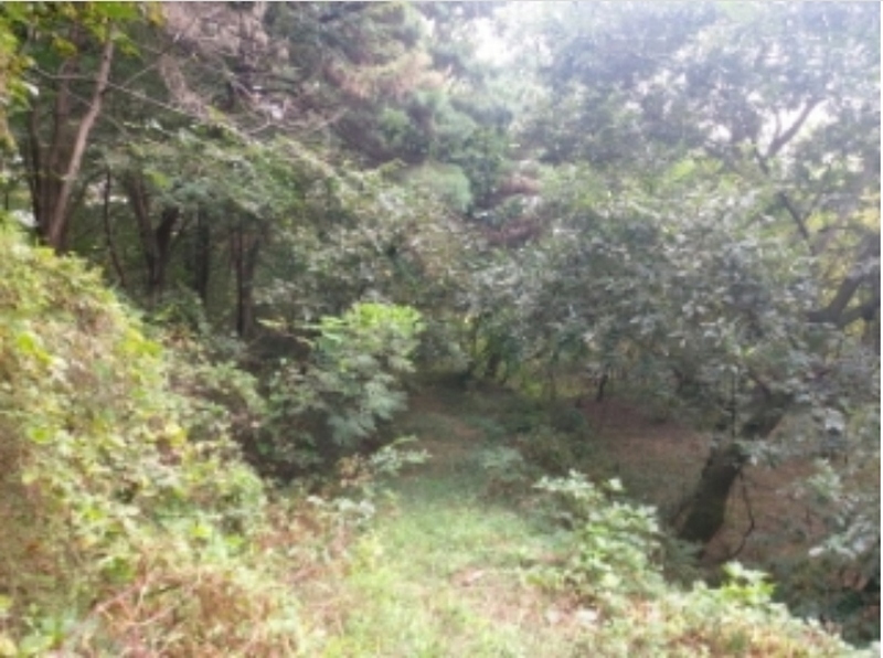 2024타경58546 충청남도 당진시 순성면 본리 557 임야 경매 이미지