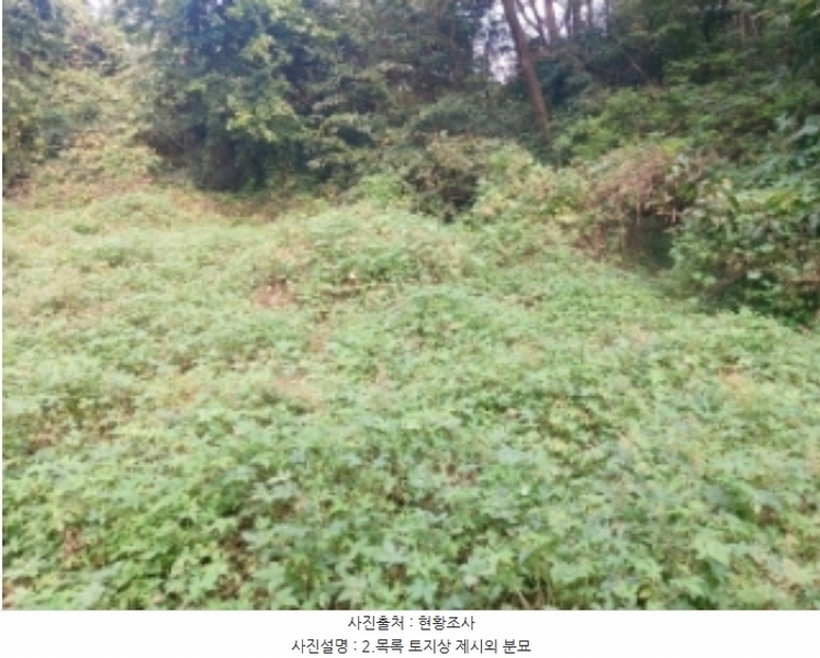 2024타경58546 충청남도 당진시 순성면 본리 557 임야 경매 이미지