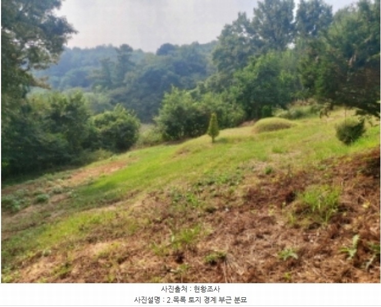2024타경58546 충청남도 당진시 순성면 본리 557 임야 경매 이미지