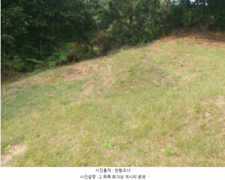 2024타경58546 충청남도 당진시 순성면 본리 557 임야 경매 이미지