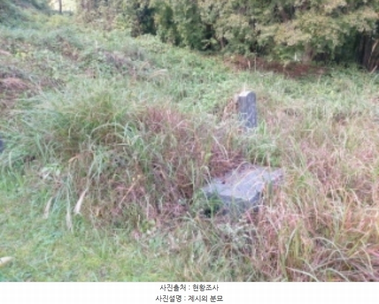 2024타경59273 충청남도 당진시 면천면 원동리 167-1 농지 경매 이미지