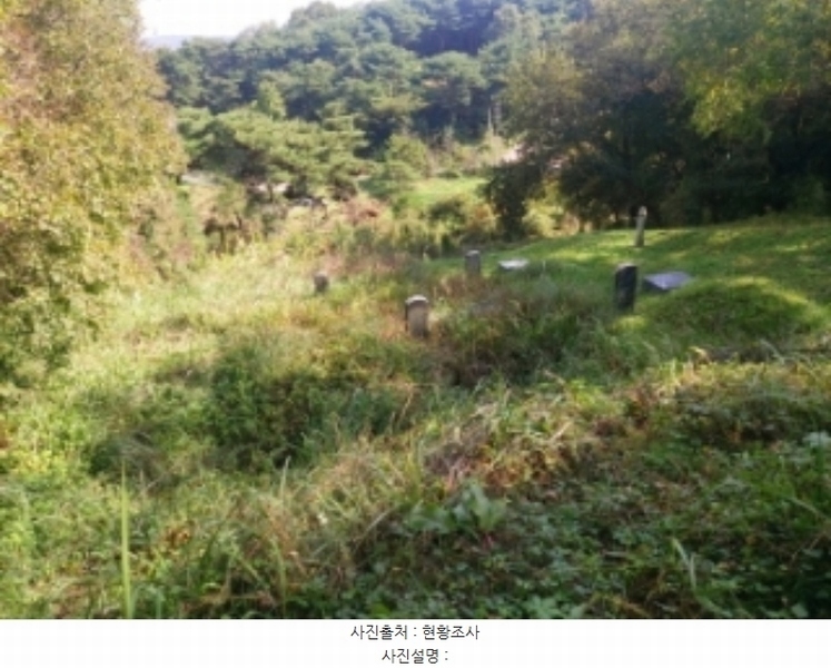 2024타경59273 충청남도 당진시 면천면 원동리 167-1 농지 경매 이미지
