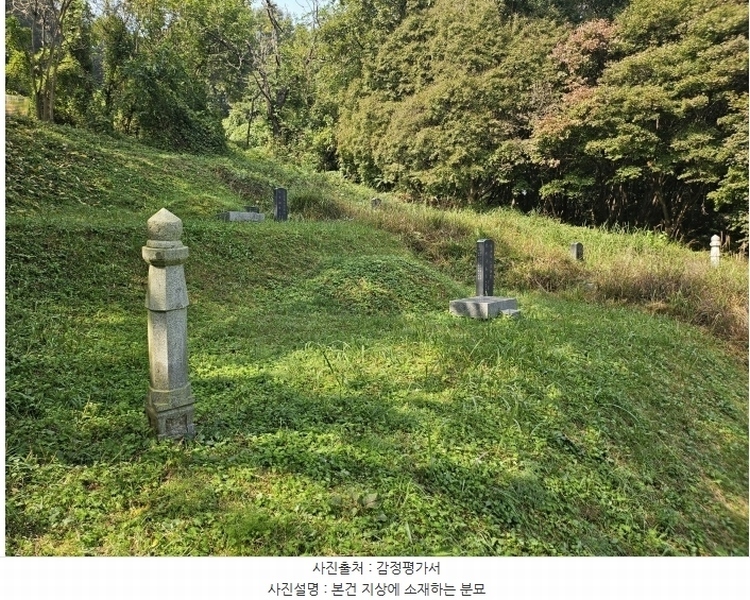 2024타경59273 충청남도 당진시 면천면 원동리 167-1 농지 경매 이미지