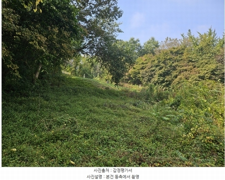 2024타경59273 충청남도 당진시 면천면 원동리 167-1 농지 경매 이미지