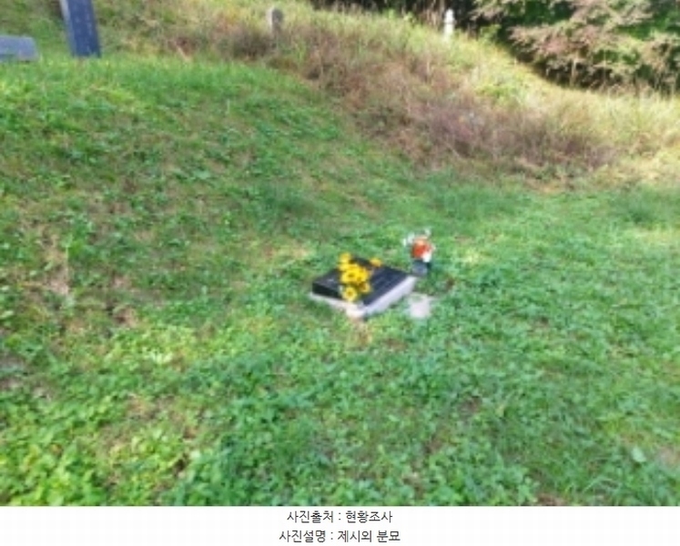 2024타경59273 충청남도 당진시 면천면 원동리 167-1 농지 경매 이미지
