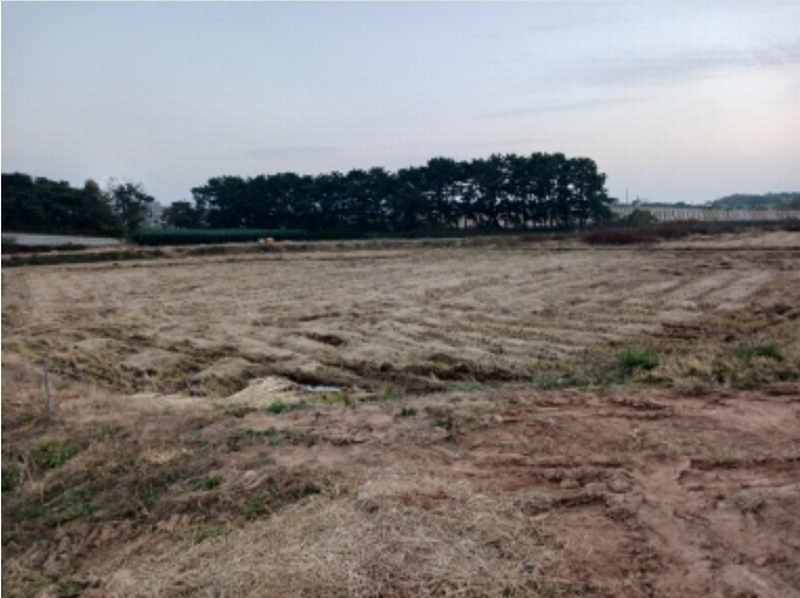 2024타경60273 충청남도 서산시 오남동 산16-9 임야 경매 이미지