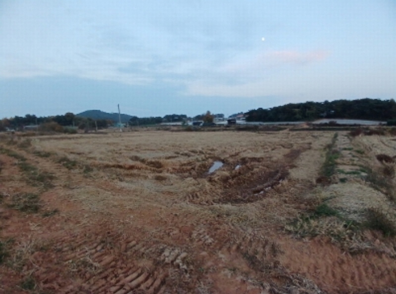 2024타경60273 충청남도 서산시 오남동 산16-9 임야 경매 이미지