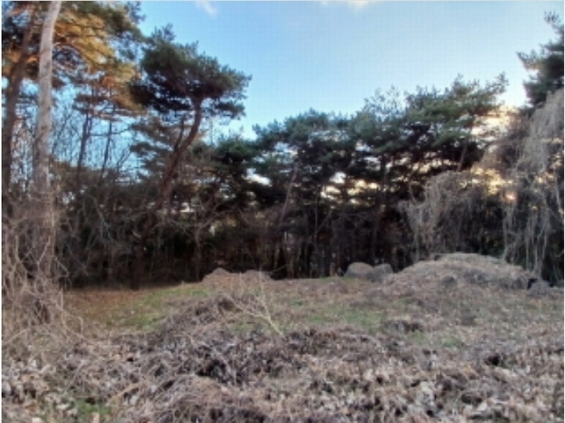 2024타경61740 충청남도 서산시 대산읍 영탑리 산107-7 임야 경매 이미지