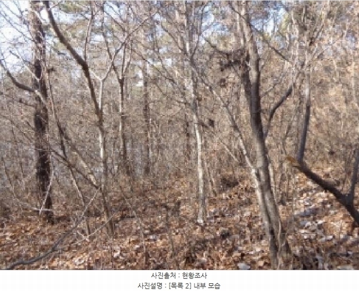 2025타경50822 충청남도 서산시 부석면 마룡리 479-15 임야 경매 이미지