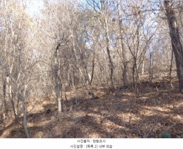 2025타경50822 충청남도 서산시 부석면 마룡리 479-15 임야 경매 이미지