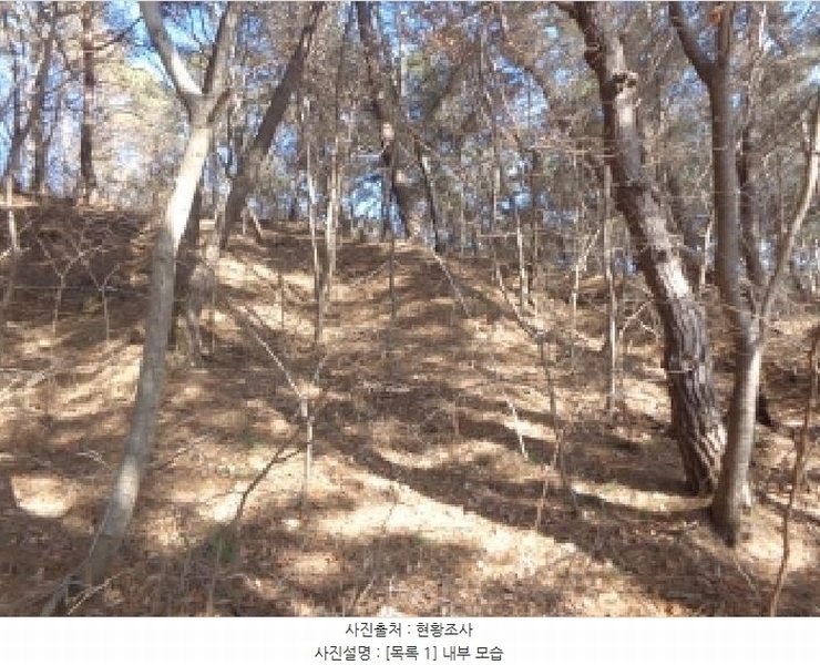 2025타경50822 충청남도 서산시 부석면 마룡리 479-15 임야 경매 이미지