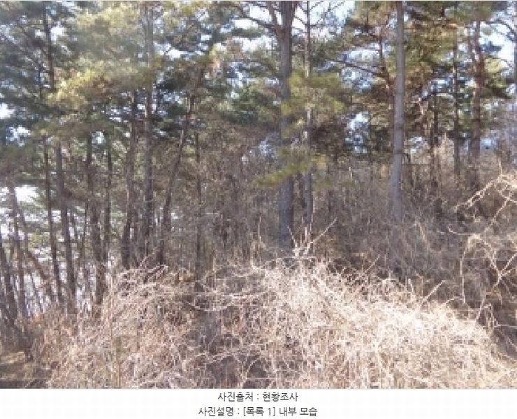 2025타경50822 충청남도 서산시 부석면 마룡리 479-15 임야 경매 이미지