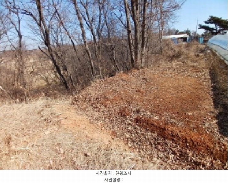 2025타경50958 충청남도 당진시 석문면 삼봉리 산214-30 임야 경매 이미지