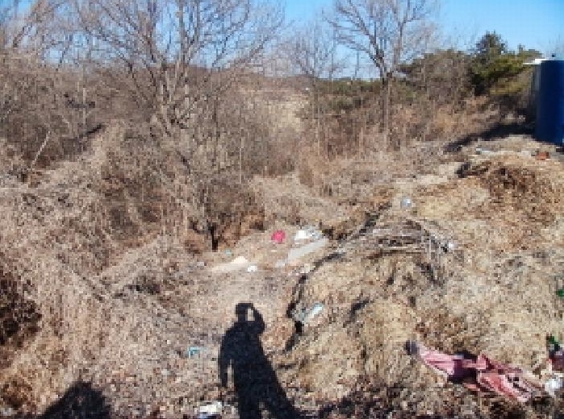 2025타경50958 충청남도 당진시 석문면 삼봉리 산214-30 임야 경매 이미지