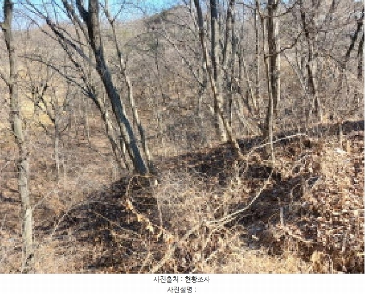 2025타경50958 충청남도 당진시 석문면 삼봉리 산214-30 임야 경매 이미지