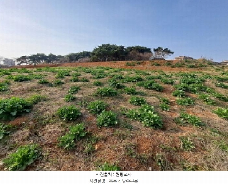 2025타경51142 충청남도 당진시 석문면 삼봉리 975 농지 경매 이미지