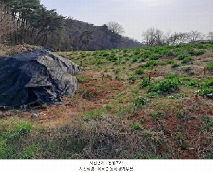 2025타경51142 충청남도 당진시 석문면 삼봉리 975 농지 경매 이미지