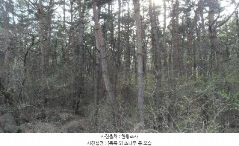 2023타경1307 충청남도 서산시 인지면 산동리 산59-2 임야 경매 이미지