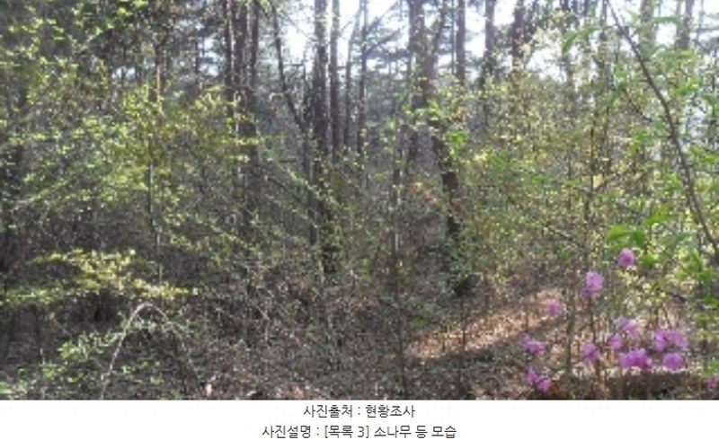 2023타경1307 충청남도 서산시 인지면 산동리 산59-2 임야 경매 이미지