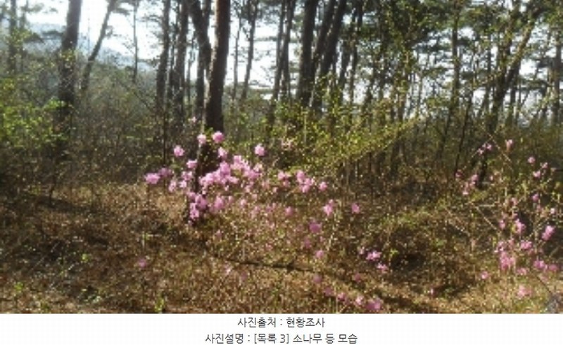 2023타경1307 충청남도 서산시 인지면 산동리 산59-2 임야 경매 이미지