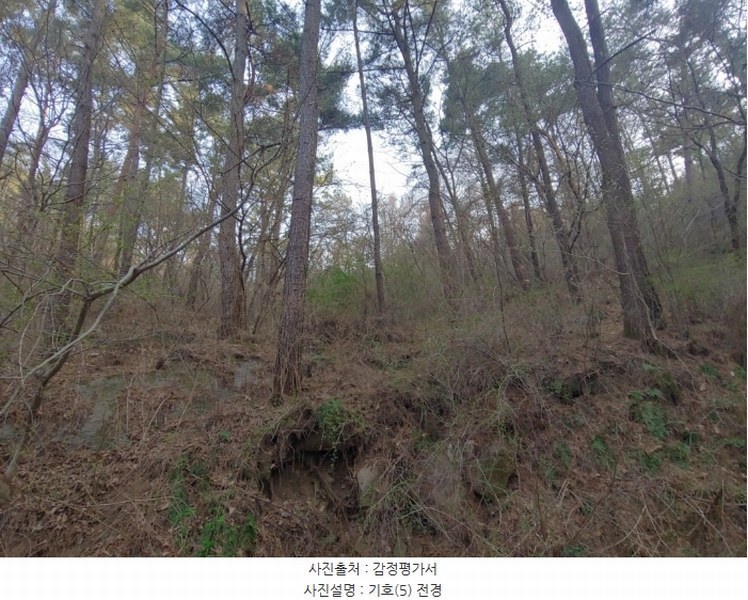 2023타경1307 충청남도 서산시 인지면 산동리 산59-2 임야 경매 이미지
