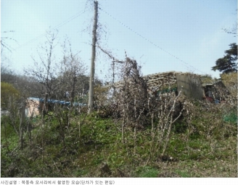 2023타경51586 충청남도 서산시 성연면 명천리 103-5 농지 경매 이미지