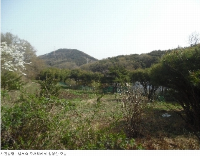2023타경51586 충청남도 서산시 성연면 명천리 103-5 농지 경매 이미지