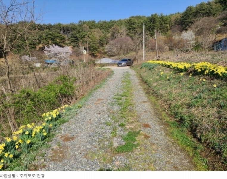 2023타경51586 충청남도 서산시 성연면 명천리 103-5 농지 경매 이미지