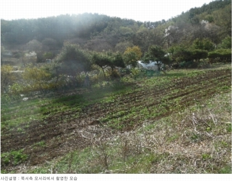 2023타경51586 충청남도 서산시 성연면 명천리 103-5 농지 경매 이미지