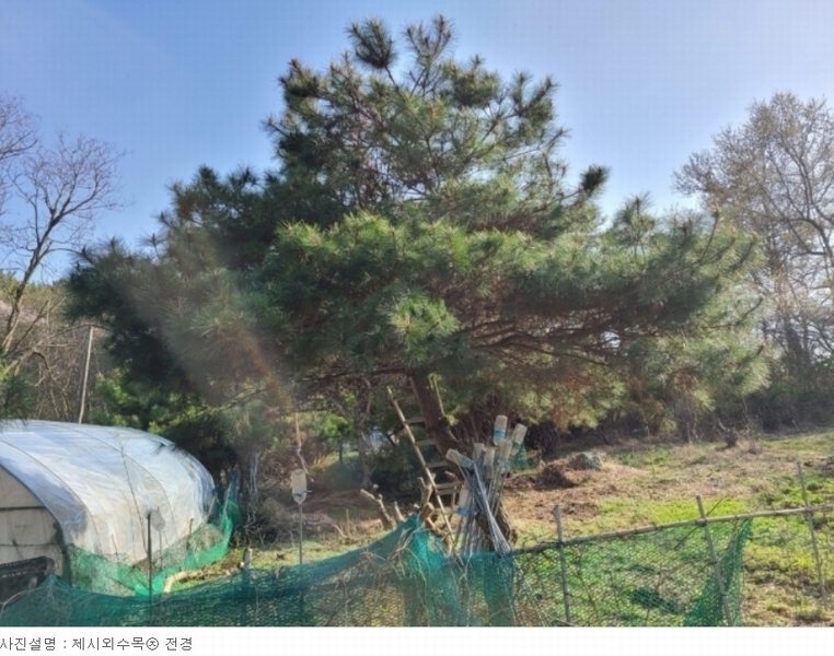 2023타경51586 충청남도 서산시 성연면 명천리 103-5 농지 경매 이미지