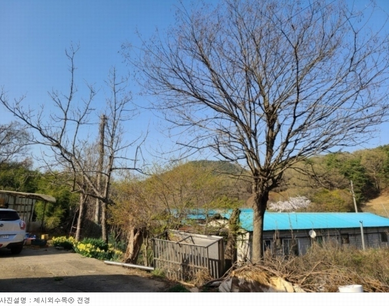 2023타경51586 충청남도 서산시 성연면 명천리 103-5 농지 경매 이미지