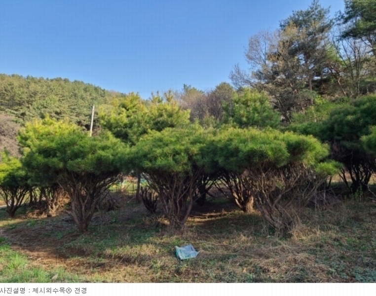 2023타경51586 충청남도 서산시 성연면 명천리 103-5 농지 경매 이미지