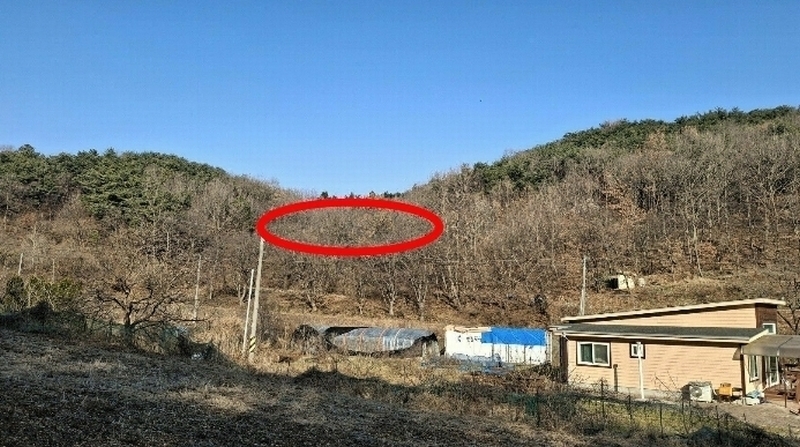2024타경4907 충청남도 당진시 고대면 항곡리 산39-1 임야 경매 이미지