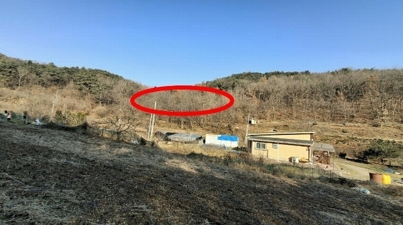 2024타경4907 충청남도 당진시 고대면 항곡리 산39-1 임야 경매 이미지