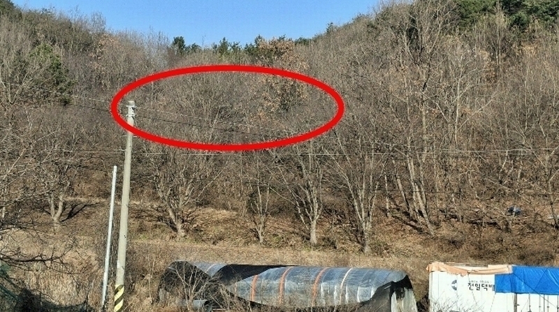 2024타경4907 충청남도 당진시 고대면 항곡리 산39-1 임야 경매 이미지
