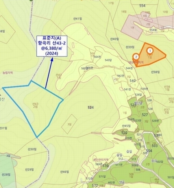 2024타경4907 충청남도 당진시 고대면 항곡리 산39-1 임야 경매 이미지