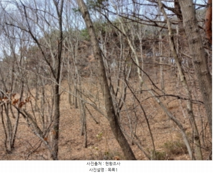 2024타경4907 충청남도 당진시 고대면 항곡리 산39-1 임야 경매 이미지