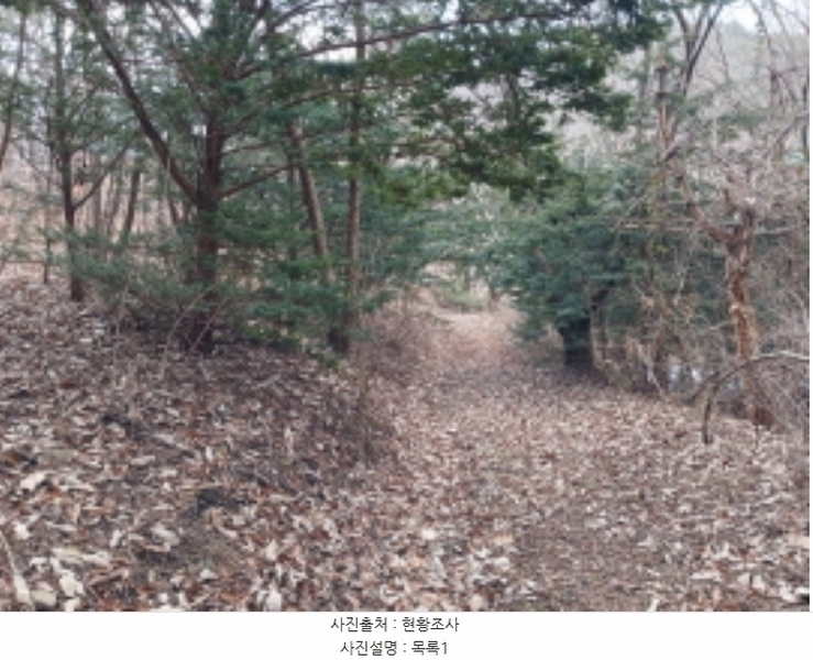 2024타경4907 충청남도 당진시 고대면 항곡리 산39-1 임야 경매 이미지