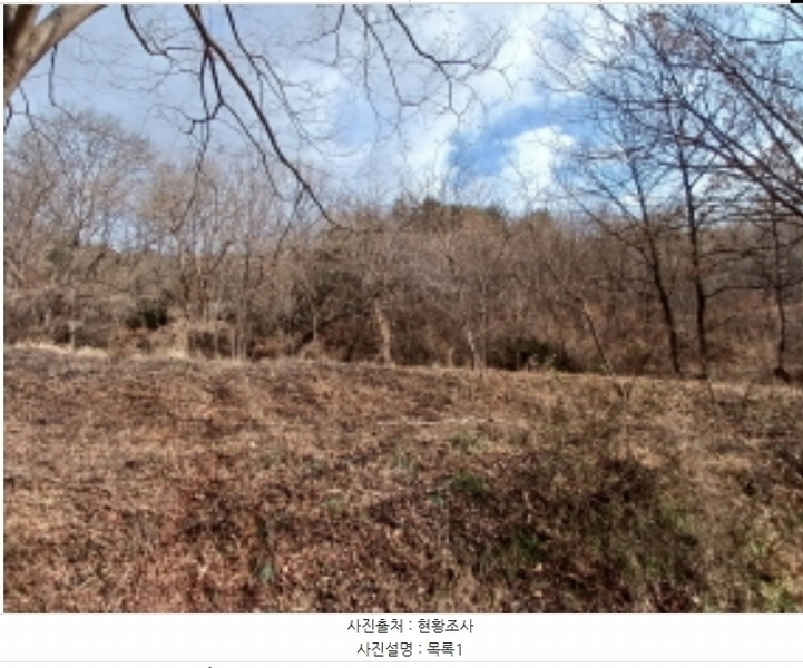2024타경4907 충청남도 당진시 고대면 항곡리 산39-1 임야 경매 이미지