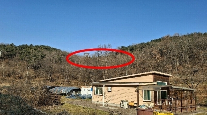2024타경4907 충청남도 당진시 고대면 항곡리 산39-1 임야 경매 이미지