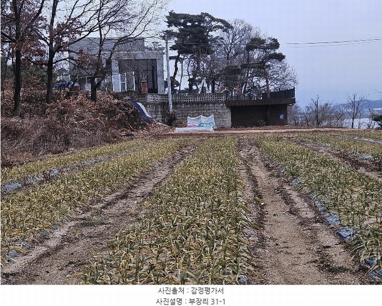 2024타경5214 충청남도 서산시 음암면 부장리 31 농지 경매 이미지