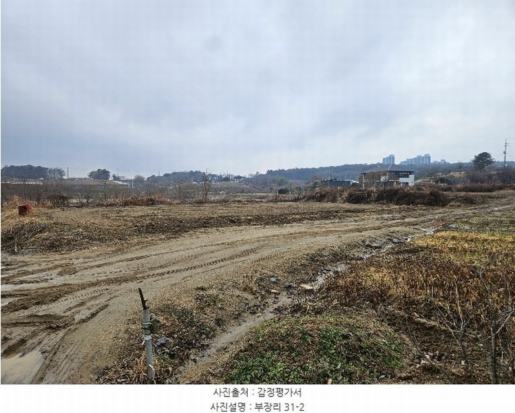 2024타경5214 충청남도 서산시 음암면 부장리 31 농지 경매 이미지